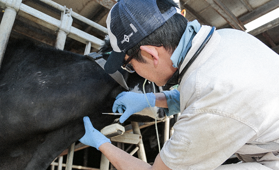 リプロ株式会社 リプロについて